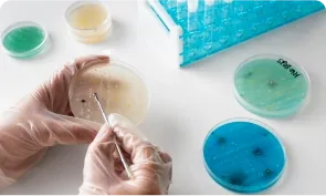 pg-home-market-inherited-disease Inherited disease